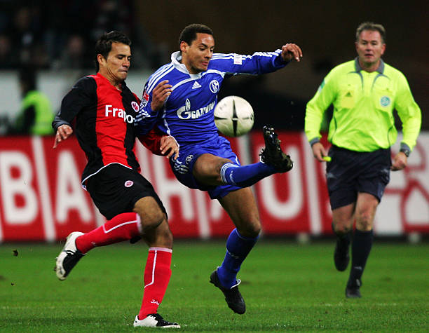 展现出在国 展现出在国